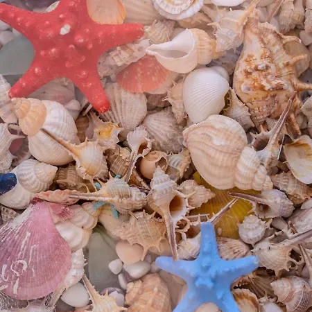 Kataleya Apartament * Năvodari